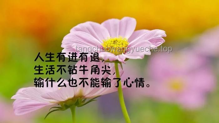 这一次，我不想再输了：掌握成功秘诀